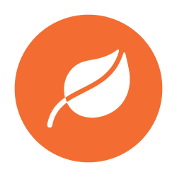 White leaf icon on an orange circle