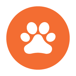 White paw print on an orange circle